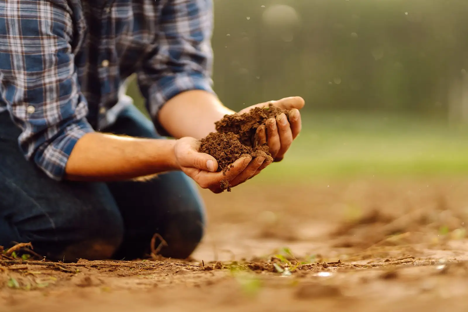 close up of a farmer s strong hands.jpg