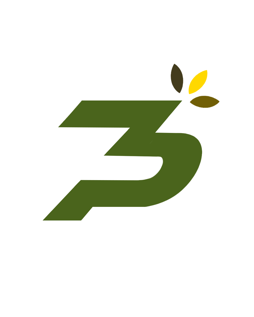 P3 Technologies logo